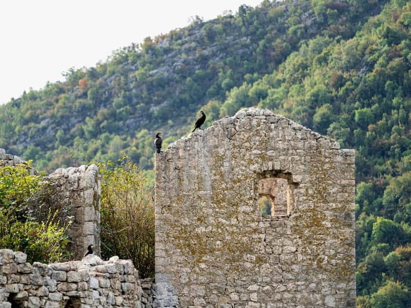 Lake Skadar: Short Boat Tour to Grmour Fortress with Drinks - Pricing and Value  