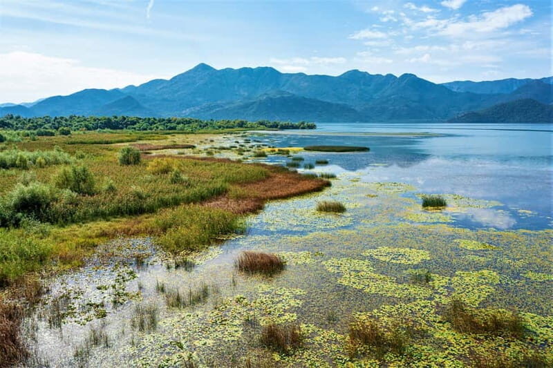 Lake Skadar: Visit the Montenegrin Venice - The Sum Up
