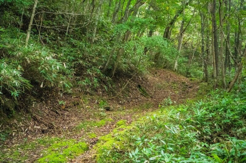 lake-tachibana-hike-to-a-hidden-lake