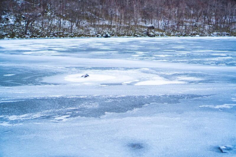 lake-tachibana-snowshoeing-tour