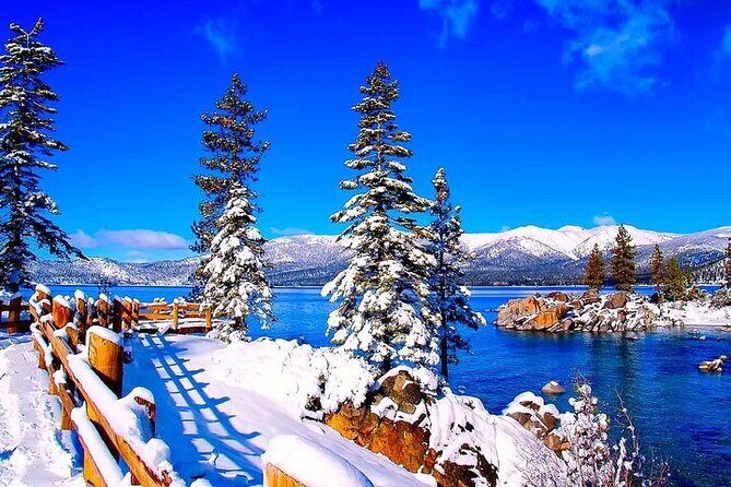 Lake Tahoe Full day Private Tour from Cupertino - What Makes This Tour Stand Out?