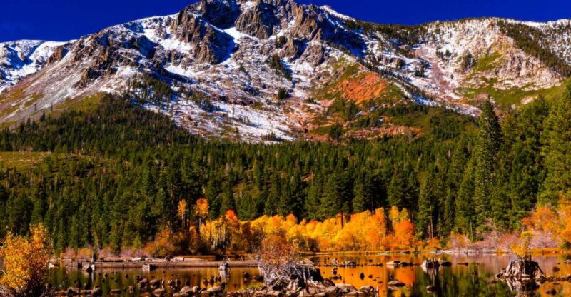 lake-tahoe-half-day-photographic-scenic-tour