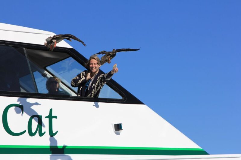Lake Taupo: 1.5-Hour Maori Rock Carvings 5:00 PM Cruise - Lake Taupo: 1.5-Hour Maori Rock Carvings 5:00 PM Cruise