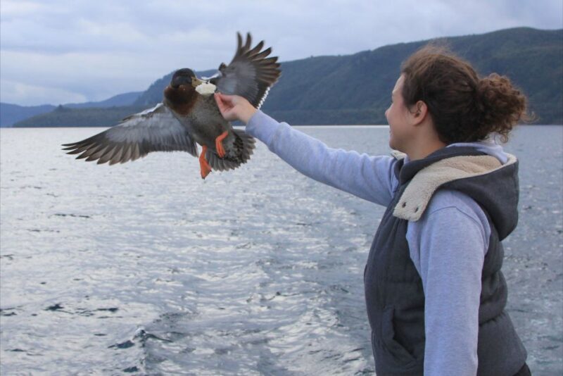 Lake Taupo: Maori Rock Carvings 10.30 AM 1.5-Hour Cruise - Who Should Consider This Tour?