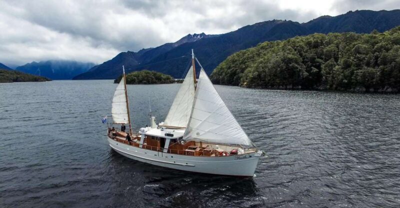Lake Te Anau: 3-Hour Boat Cruise with Guided Walk - The Sum Up