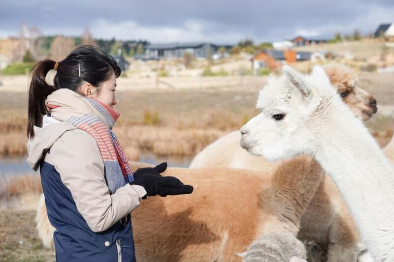 Lake Tekapo High Country Farm Tour (Carbon Positive) - A Closer Look at the Experience