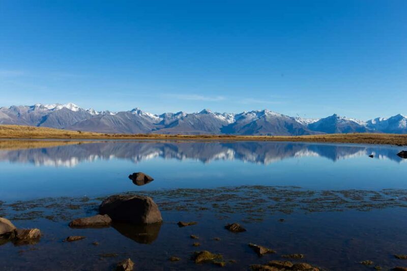 Lake Tekapo High Country Farm Tour (Carbon Positive) - The Sum Up: Is It Worth It?