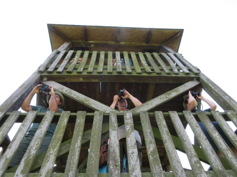 lake-tisza-boat-trip-in-the-bird-paradise