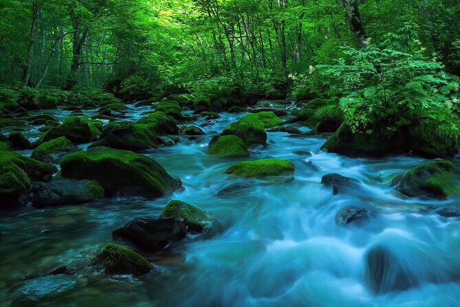 Lake Towada Cruise and Oirase Gorge Drive with Hakkoda Ropeway - Key Points