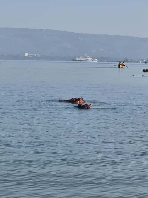 Lake Victoria Boat Ride, Birds Watching and Hippo Watching. - A Scenic Journey Across Lake Victoria