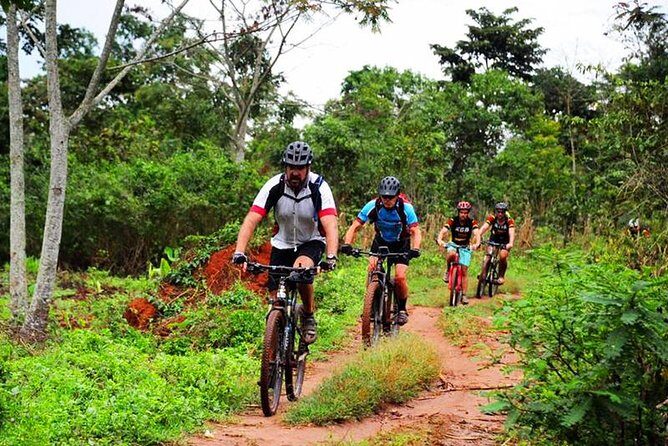 Lake Victoria Island Cycling Tour from Kampala - Practical Details That Matter