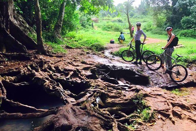 Lake Victoria Island Cycling Tour from Kampala - Authentic Experiences Highlighted by Reviewers