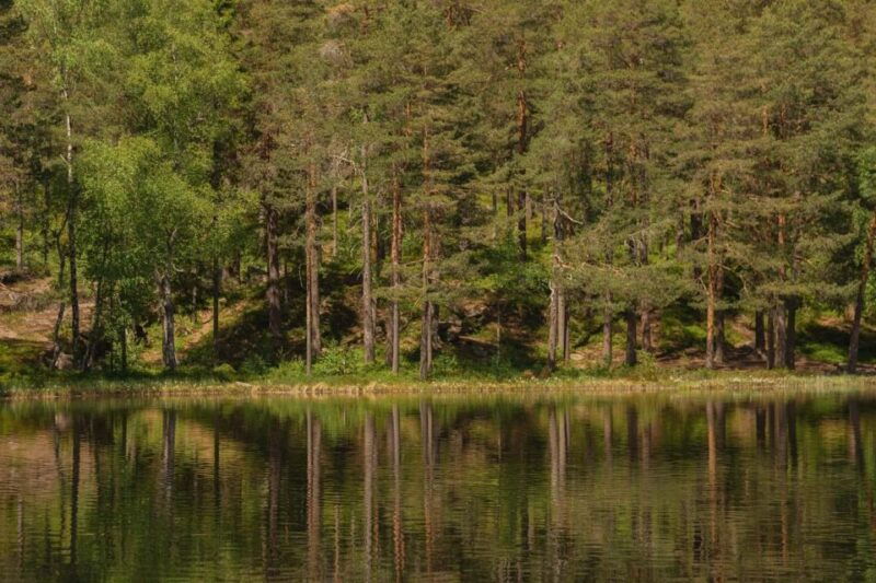 lake-walk-and-campfire
