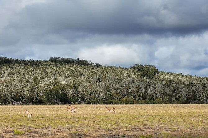 lake-yehuin-ancestral-circuit-in-4x4-vehicle-with-lunch
