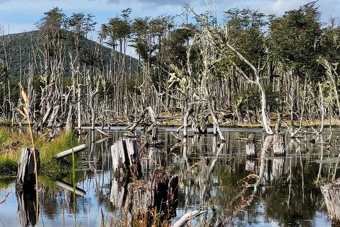 lake-yehuin-ancestral-circuit-in-4x4-vehicle-with-lunch