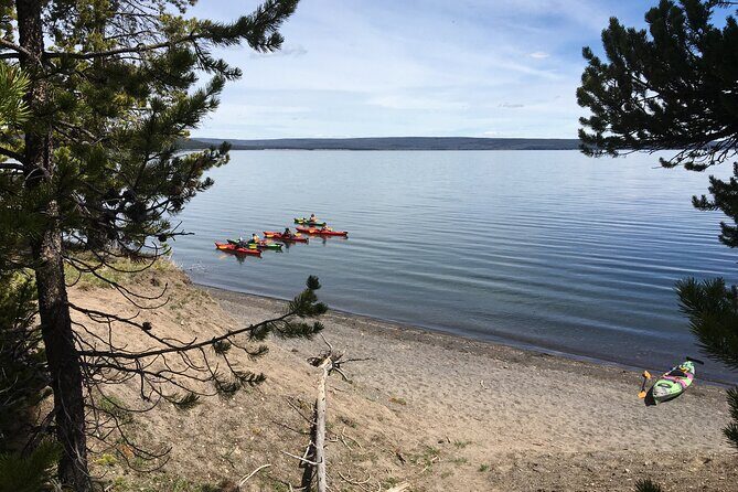 Lake Yellowstone Half Day Kayak Tours Past Geothermal Features - Practical Details and Tips