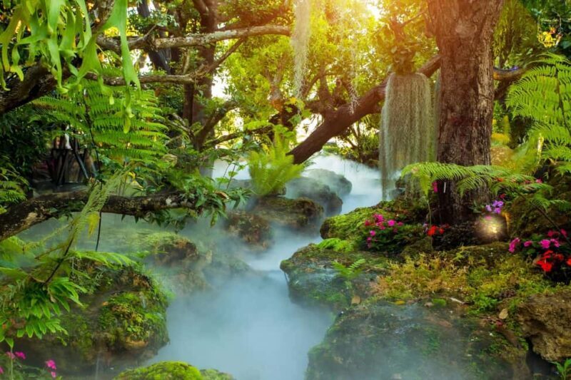 Lalita Cafe & Chiang Rai Temple(White+Blue) from Chiangmai - Key Points