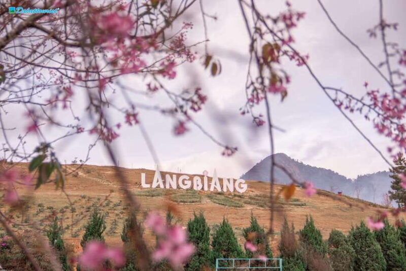 Lâm ng : Lang Biang Mountain Ticket - How to Make the Most of Your Visit