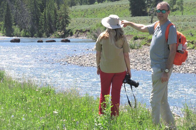 Lamar Valley Safari Hiking Tour with Lunch - The Itinerary in Detail