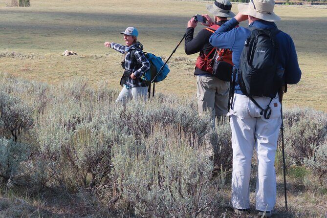 Lamar Valley Safari Hiking Tour with Lunch - Who Is This Tour Best For?