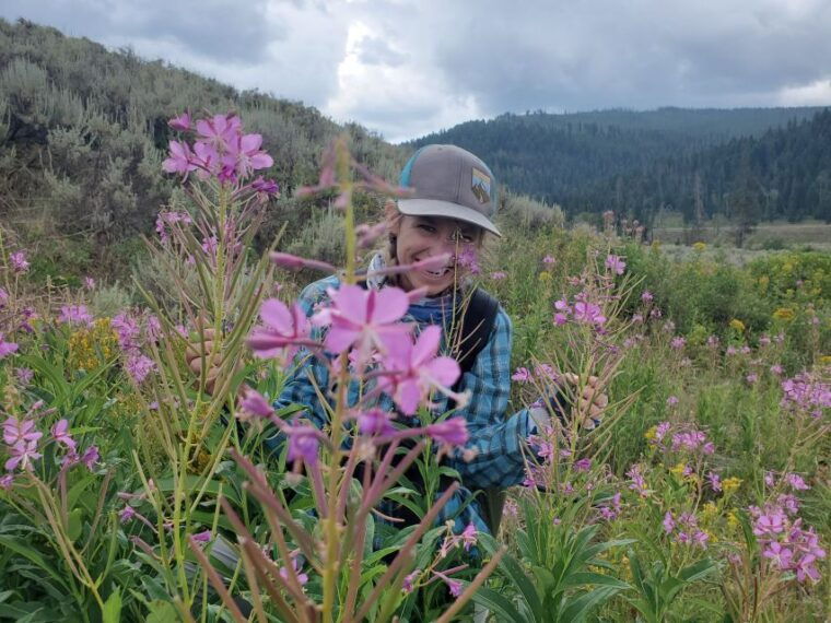 lamar-valley-safari-hiking-tour-with-lunch
