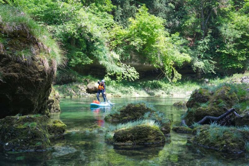 Lambach: Guided SUP & kayak tour through the Natura 2000 area Traun - Key Points