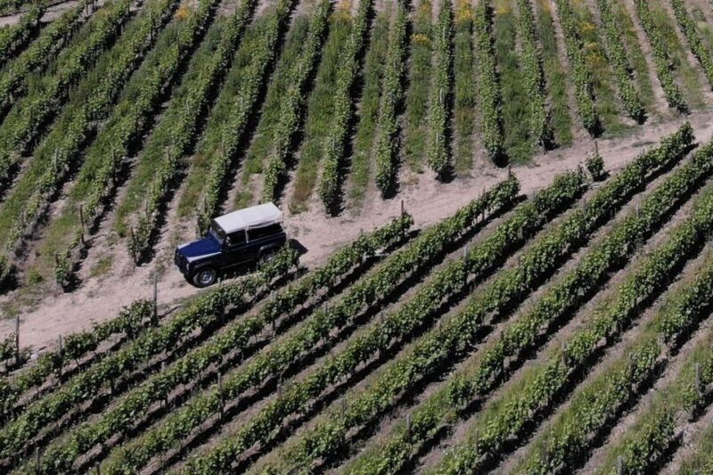 lamego-quinta-da-portela-de-baixo-winery-tour-and-tasting