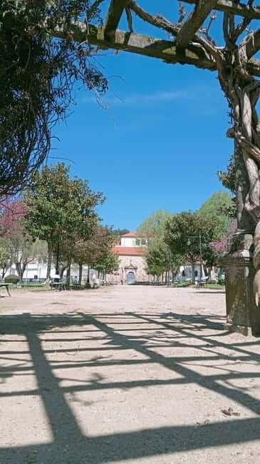 LAMEGO: walking tour of the city center - Final Thoughts: Is This Tour for You?