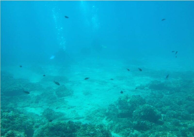 lametlla-de-mar-sea-diving-with-instructor