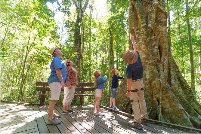 Lamington National Park, O'Reilly's & Vineyard Tour - Introduction: What to Expect from the Lamington & OReillys Tour