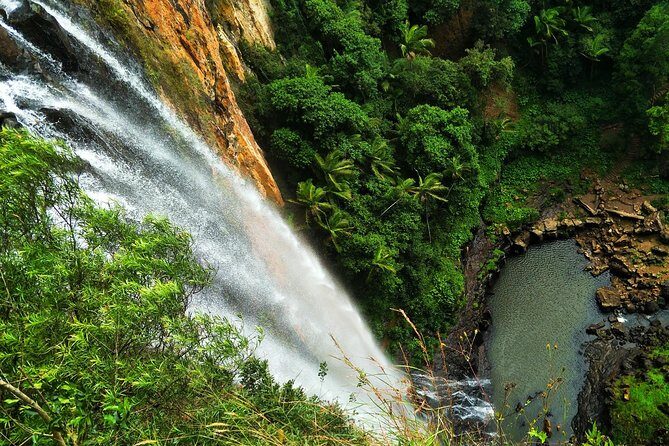 Lamington National Park, O'Reilly's & Vineyard Tour - The Sum Up: Who Is This Tour Best For?