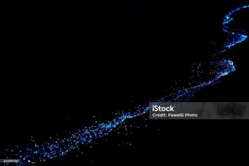lan-ha-bay-bioluminescent-plankton-kayak-tour-with-dinner
