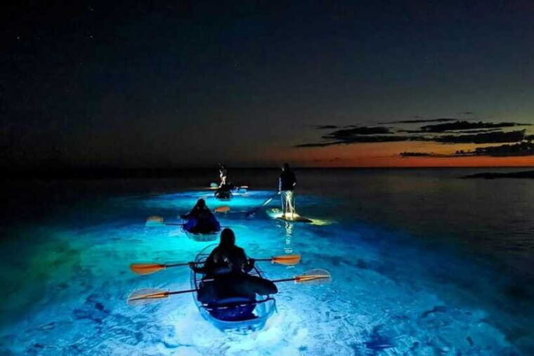 lan-ha-bay-bioluminescent-plankton-kayak-tour-with-dinner