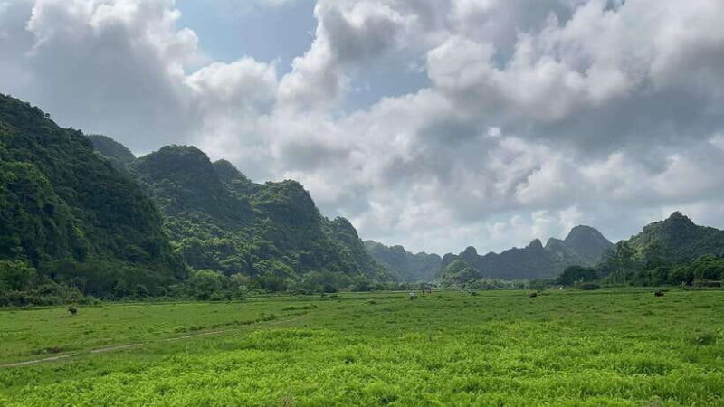 Lan Ha Bay Cat Ba Island Sightseeing Cruise 2 Days Tour - FAQs