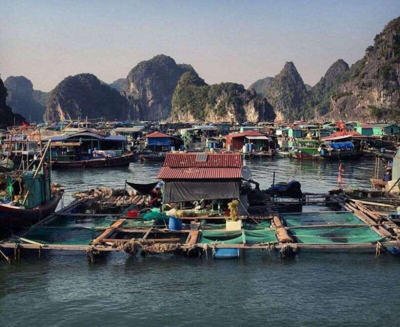 lan-ha-bay-kayak-swim-small-group
