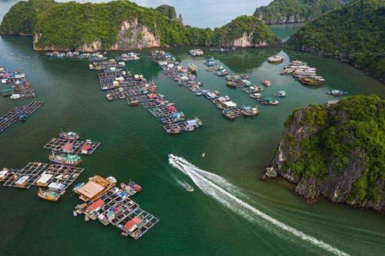 lan-ha-bay-kayak-swim-small-group