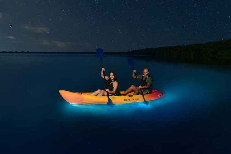 lan-ha-bay-night-kayaking-explore-bioluminescence-plankton