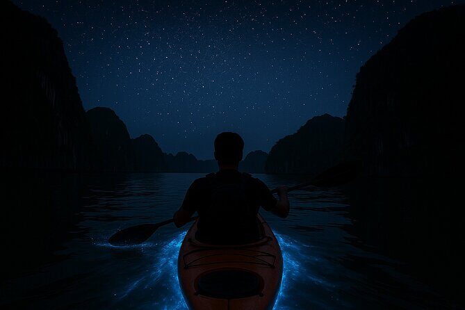 Lan Ha Bay Sunset and Bioluminescent Kayaking Tour - An Authentic Look at the Lan Ha Bay Sunset and Bioluminescent Kayaking Tour