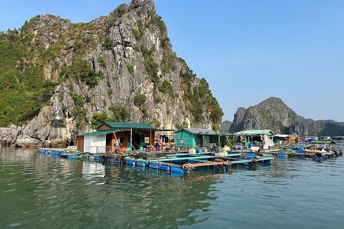 Lan Ha Bay Sunset and Bioluminescent Kayaking Tour - Final Thoughts on the Experience