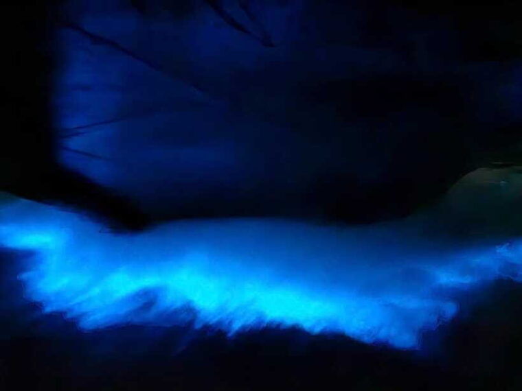lan-ha-bay-sunset-and-night-kayak-with-bioluminescence