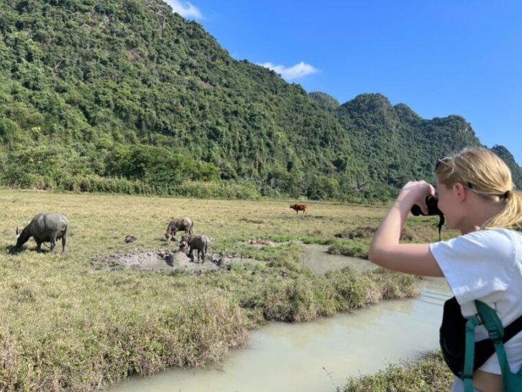 lan-ha-bay-viet-hai-village-boutique-cruise