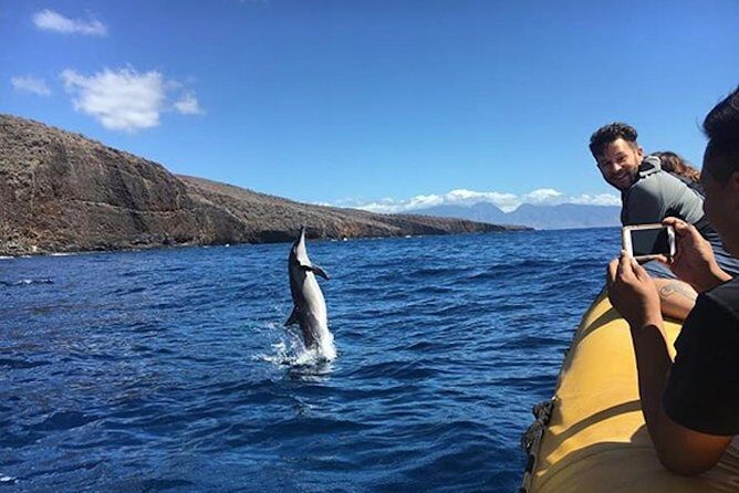 Lanai Deluxe Dolphin Adventure & 3 Snorkel Sites - Why This Tour Stands Out
