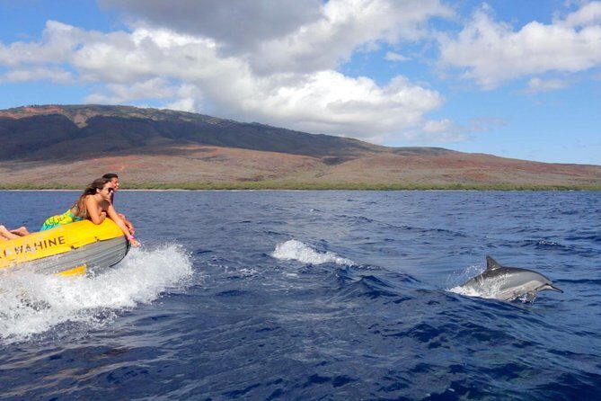 Lanai Deluxe Dolphin Adventure & 3 Snorkel Sites - What We Loved 