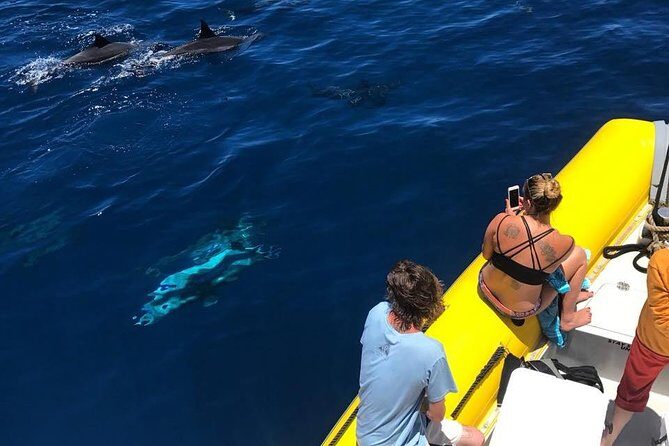 Lanai Deluxe Dolphin Adventure & 3 Snorkel Sites - Who This Tour Is Perfect For