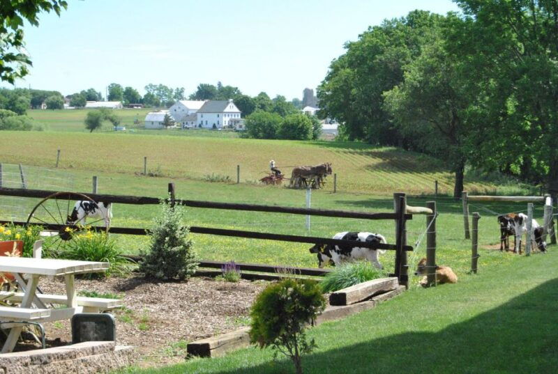 lancaster-amish-experience-visit-in-person-tour-of-3-farms