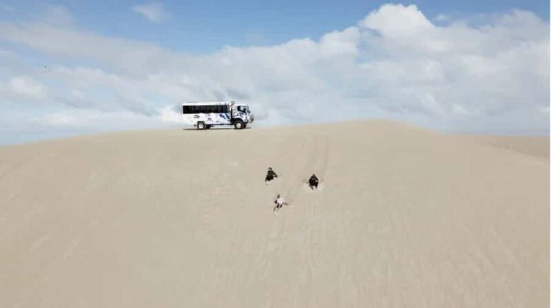 Lancelin 4WD Adventure & Sandboarding Experience - Key Points