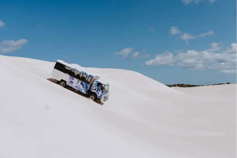 Lancelin 4WD Adventure & Sandboarding Experience - Final Thoughts: Who Is This Tour Best For?