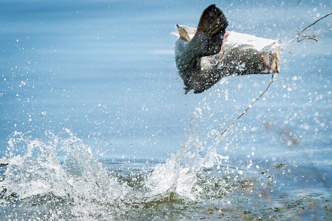 Land Based Barramundi Fishing Experience - Why Choose This Land-Based Barramundi Tour?