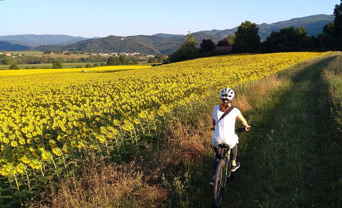 land-of-painters-the-origins-of-the-tuscan-landscape