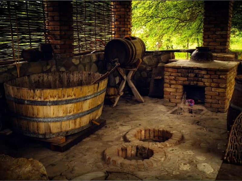 Land of the Sun Full Day Wine and Grapes Tour in Kakheti - What to Expect on the Tour